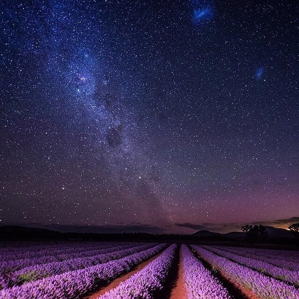 NOCHE DE ESTRELLAS.... - Página 25 CNNjiZvWsAEXiOq