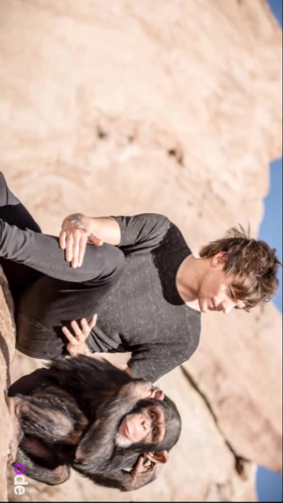 BEST1DPICS4U's tweet photo. LOUIS + 🐵🐵 = ❤️😍💕😩✨ // GUYS I AM LOOKING FOR A CO-OWNER FOR THIS ACCOUNT BC I JUST STARTED SCHOOL. IF INTERESTED DM ! http://t.co/bguGwJOuCy