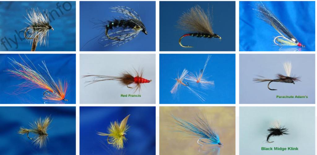 Fish4Flies's tweet image. With a library of 3330 flies &amp;amp; world wide delivery service, chose @Fish4Flies TODAY!!!
#FLYFISHING