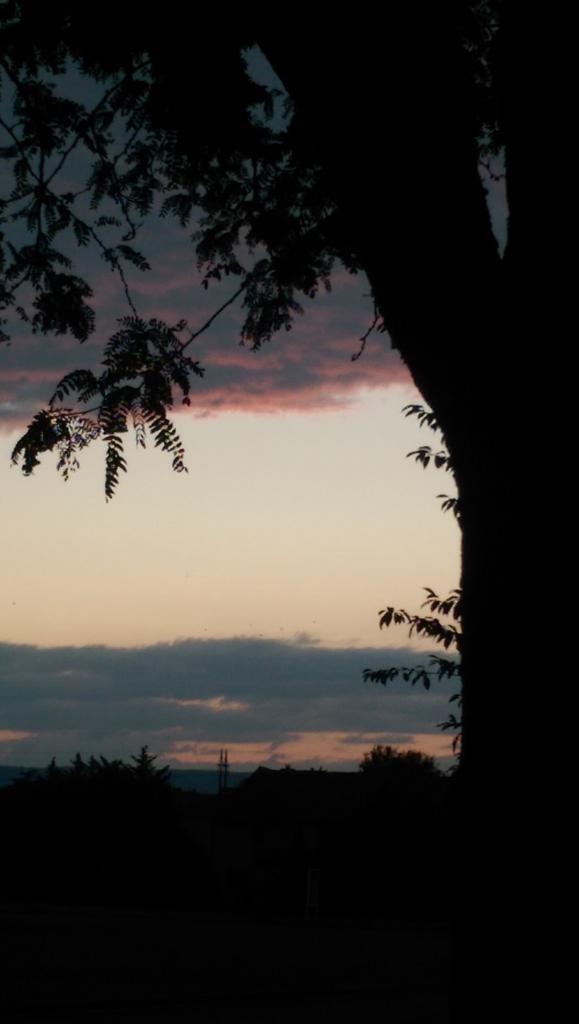 kshomaker's tweet photo. Red sky at night... sweet back to school dreams... sleep tight! #greatfirstdayofschool http://t.co/wXBNb67Vt0