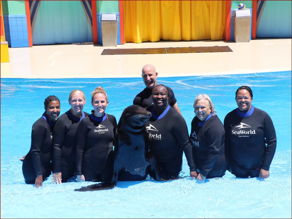 HCS_ScienceDept's tweet image. Pinniped encounter, #HCSScience teachers meet sea lion, Leon @SeaWorld San Antonio, TX.