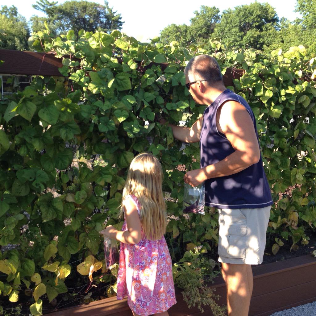 BeattieElementa's tweet photo. Great turnout for Beattie's Family Garden Night! http://t.co/9zJ64x3pni