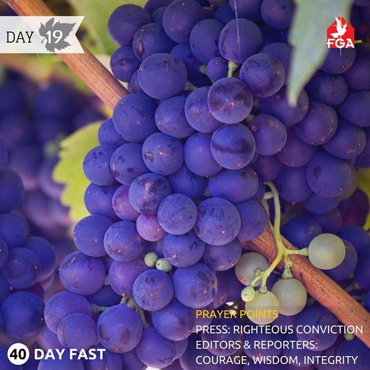 FGAKL's tweet photo. A branch that doesn't bear fruit is either unhealthy, as it is unable to receive nutrients from the vine or the bra… http://t.co/WjdLiWTd2Z