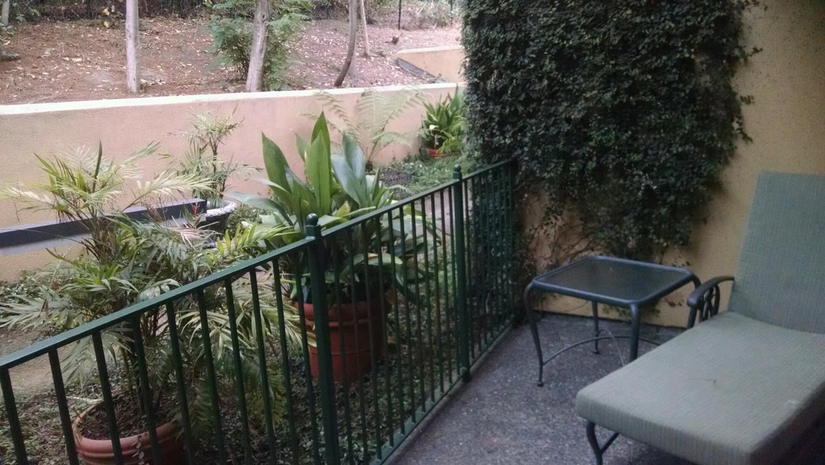 No smoking chair in sight!  Thank you Lafayette Park Hotel #ViewFromMyRoom