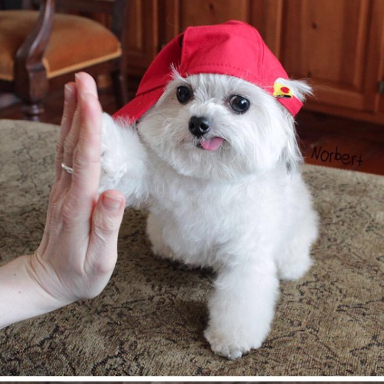 akwan711's tweet photo. Can I get a high five? #RossImpact challenge accepted! Watch out, #sec5 is coming for you! http://t.co/PqJhaoCFiU