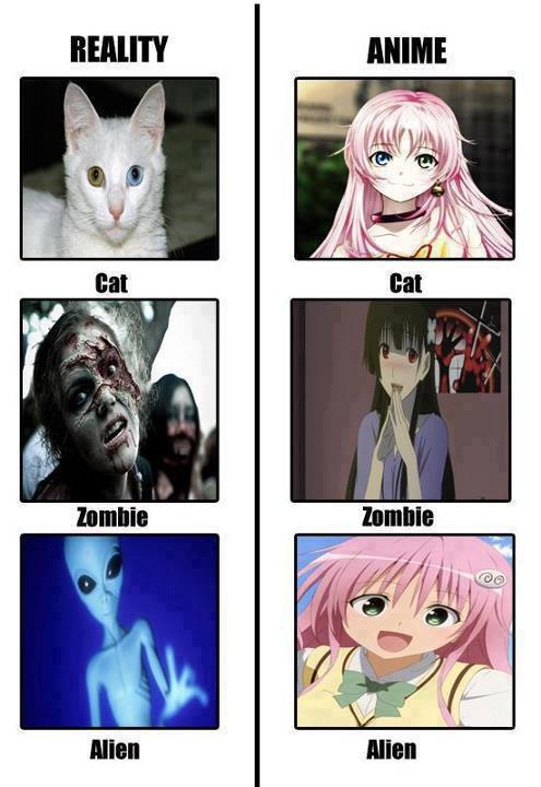 I♥Anime&Kpop on Twitter: I♥Anime&Kpop on Twitter: