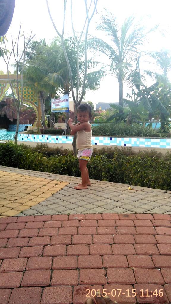 oraurus79's tweet image. 