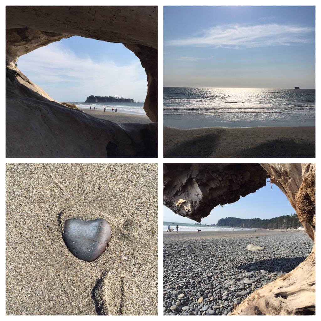 JenPicwhit's tweet photo. #HappyBirthday @NatlParkService - played at #OlympicNationalPark this summer & loved it #bucketlist #checkingitoff http://t.co/JkjKTZa3Af