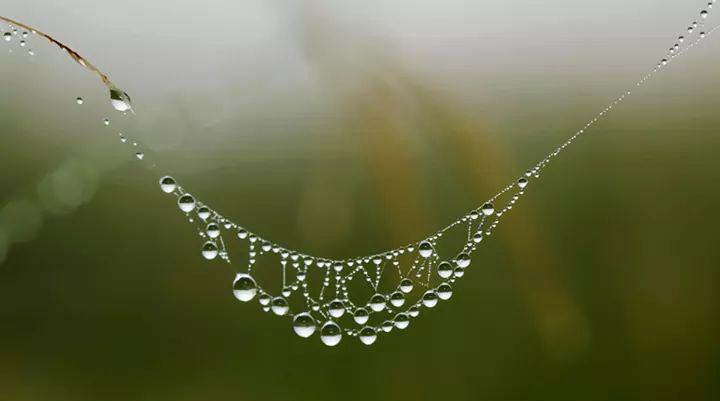 Man. (@mandeepmishra24) on Twitter photo 