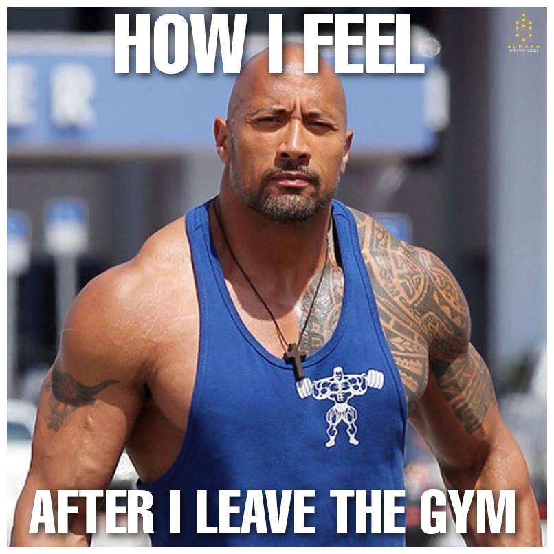 SumayaDelhi's tweet photo. That’s what you feel like, right? #GyMemes http://t.co/yIqEETYDOo