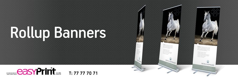 #Rollup #Promotional #Banners #DigitalPrinting #OffsetPrinting #Advertising #Printing #Design #Graphics