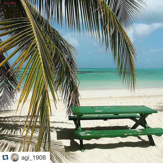 MotMotLodge's tweet photo. Looks like a perfect spot for lunch!!?? Great photo from @agi_1908
・・・
#bench #tobago #poc… http://t.co/HOzMY5t6Rz http://t.co/3nDjucmEP9