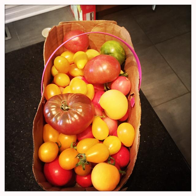 Tim Ramer (@tim_ramer) | Twitter