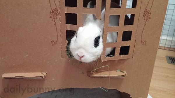 cardboard castle rabbit