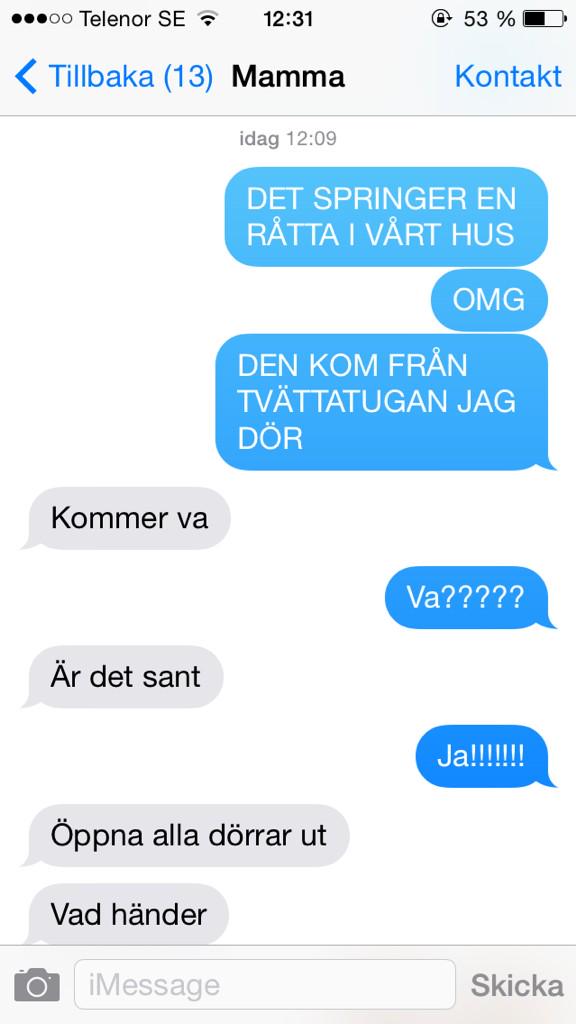 angergard's tweet photo. Just nu när jag lurar mamma att vi har en råtta hemma, bilden är redigerad men tydligen så ser hon inte de😂 http://t.co/MgaNRViBMl