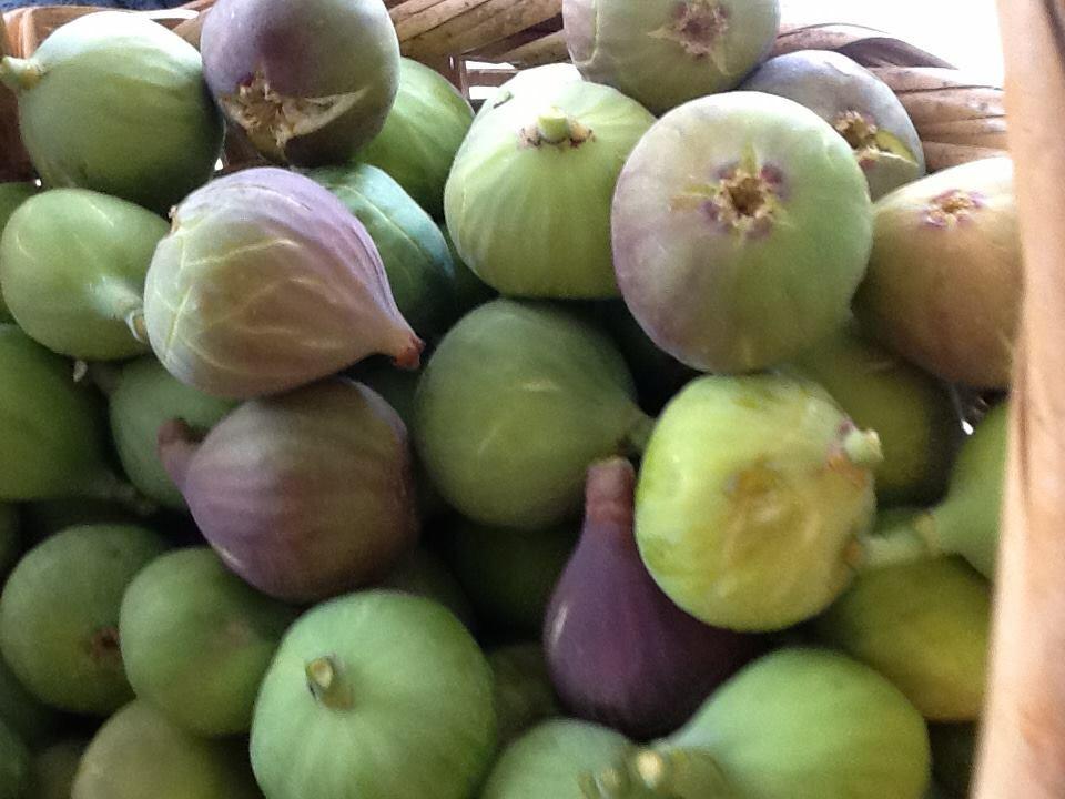 Tamoorah's tweet photo. There is nothing on planet better than Palestinian figs #Palestine #palestiniancooking http://t.co/ZIfI7u8bWY