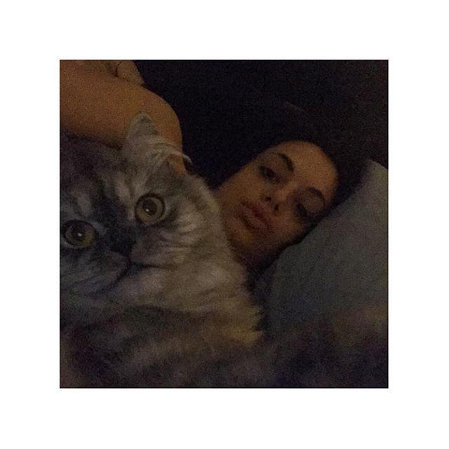 delbasso_del's tweet photo. Quiz: A chi va il merito di avere interrotto il mio sono stamattina???
•al gatto
•al bimbo
•al temporale
😡😡😡😡 … http://t.co/DdLoBQ0sxv
