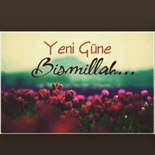 AsrinDenz's tweet photo. Hayırlı Sabahlar.. @e_emre_eren @wastedyouthbae @fatmacan2014 http://t.co/qj02X89nNX