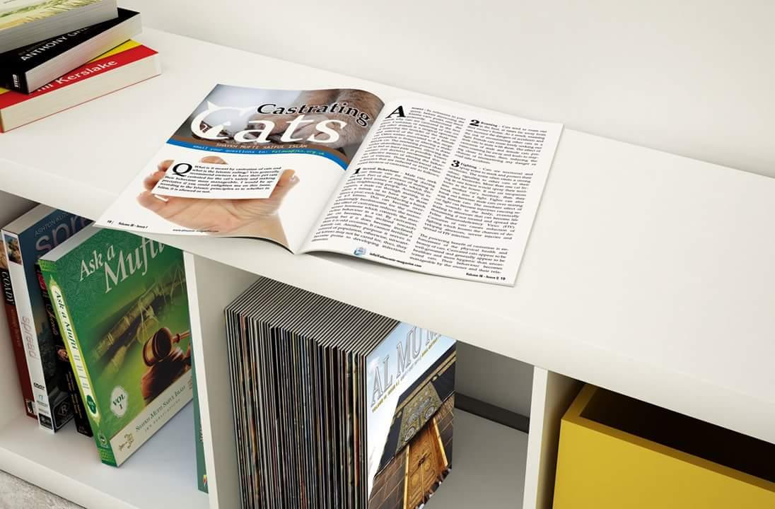 jkninstitute's tweet image. Click here bit.ly/almumin
#AlMumin #jkninstitute #Magazine #FamilyMagazine #muftisaifulislam