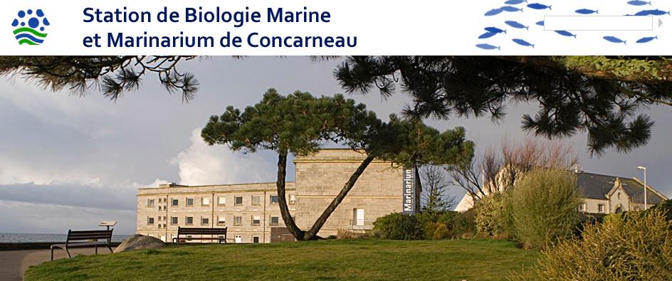 vivelesSVT's tweet photo. Conf "l'océan et ses molécules" par Yves Le Gal de @Le_Museum station bio Concarneau #MerEduc15 http://t.co/WBIDBz3JRt