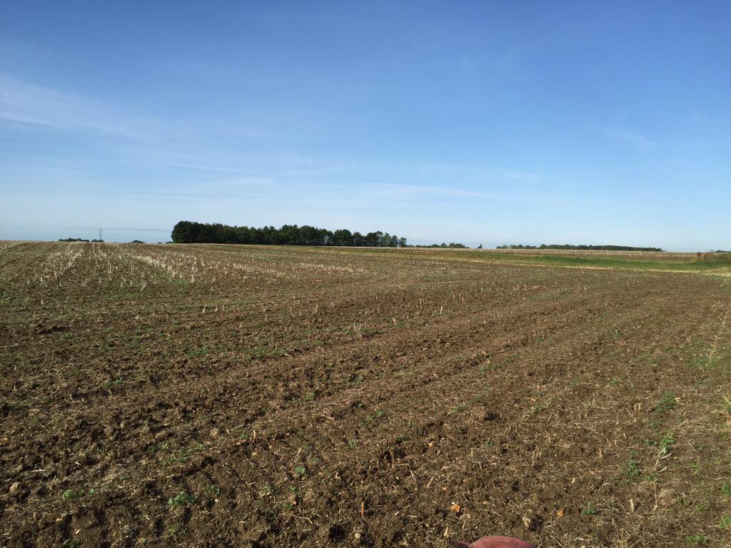 jonathanfurness's tweet image. We&apos;re at the launch site! Steady wind but sunny! @Raspberry_Pi #skycademy #teamnimbus