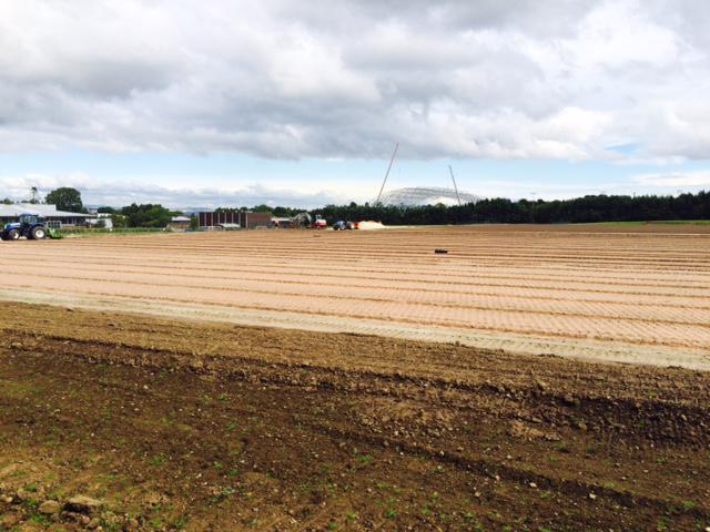 Work at Oriam: A view from the pitches back East and the final sections of steel being set. #oriamscotland