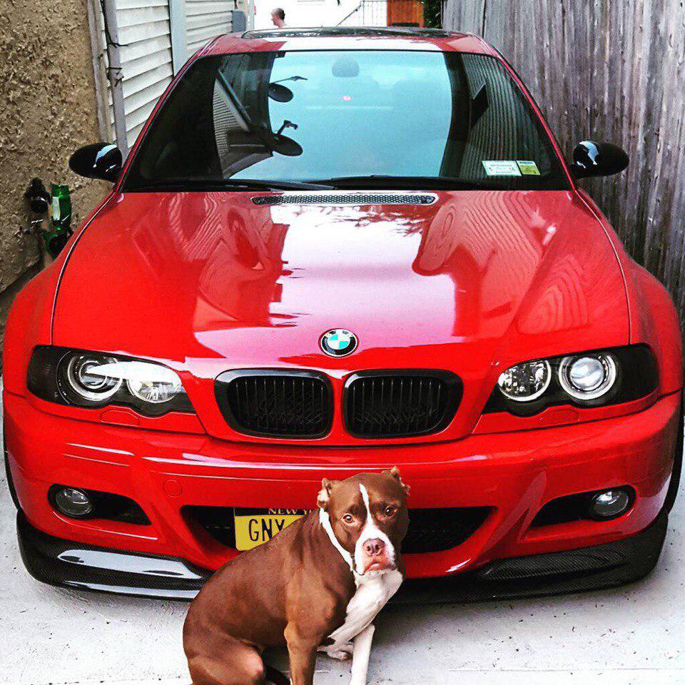Всем доброго дня и прекрасного настроения <a href="/bmw/">BMW</a> #bmwru #bmwdag <a href="/BMW/">BMW</a> <a href="/bmwru/">BMW Russia</a>
