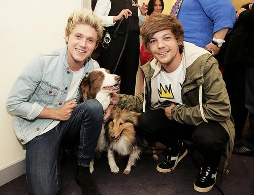 iperfdirection's tweet photo. Profilim çoklu fotoğrafla dolu rt #MTVHottest One Direction http://t.co/l1MFkQeoeC