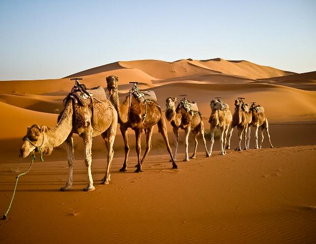 TravelnPleasure's tweet photo. Top 10 Tourist Attractions in #Morocco http://t.co/y7a78BXsr0 http://t.co/Q2SWqU1rOx
