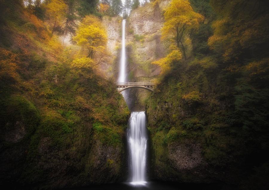 500px tweet picture