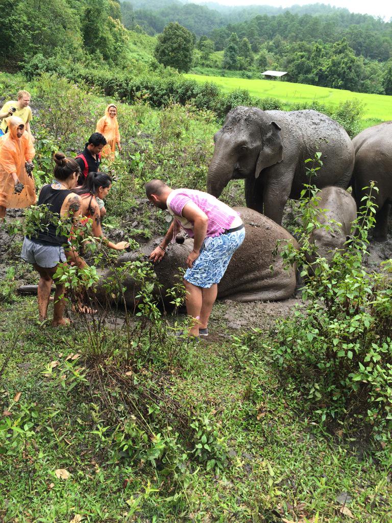 u_slice's tweet image. So tomorrow I might spend a few days medetating with monks y ? Cus I can that's y