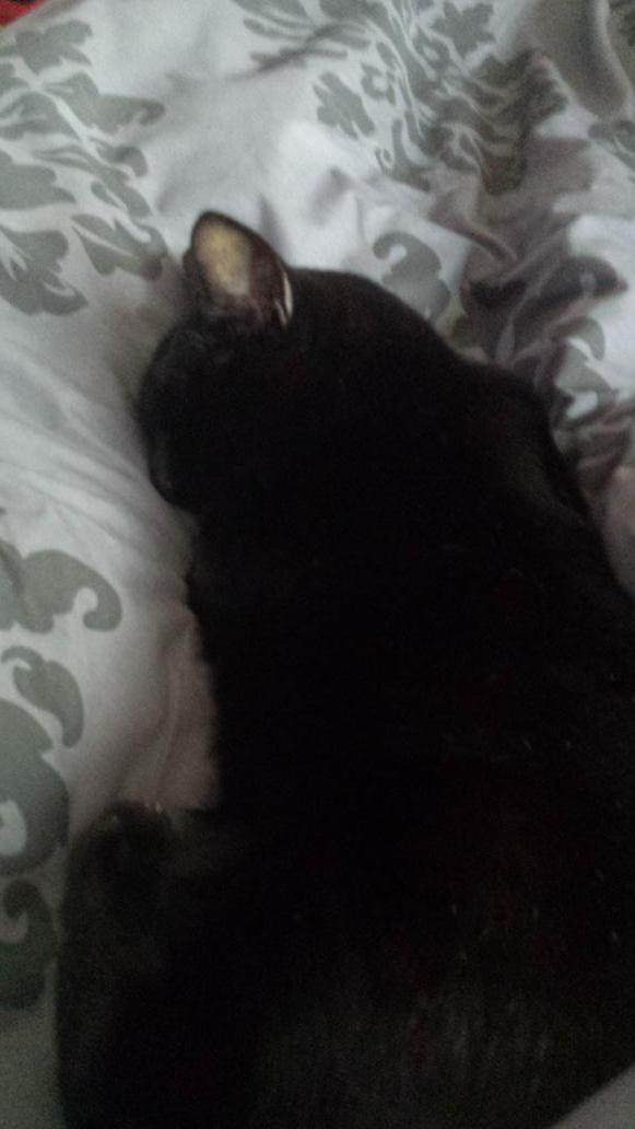 micrababe's tweet image. 