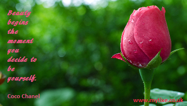 MyTIXE (@my_tixe) on Twitter photo 