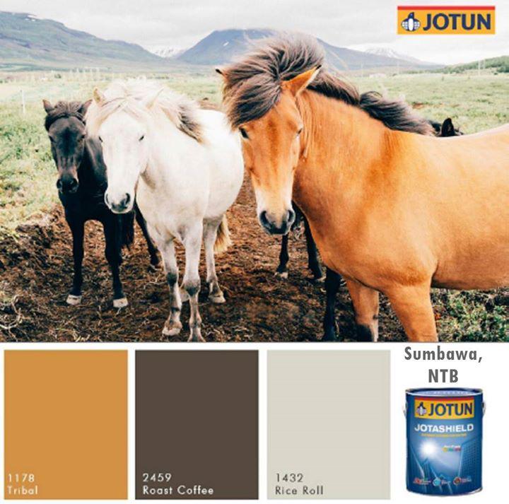 JotunID's tweet photo. Sbtkn 2 wsta Indonesia yg ciri khasnya hewan daerah tsb! #DiscoverIndonesia #travelcolours #17Agustus #JotunIndonesia http://t.co/FHOdKQ6iDU