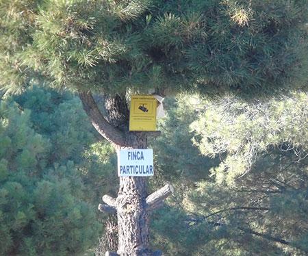 Mas medidas de seguridad en los #encierrosCuellar cuellar7.com/mas-medidas-de… .<a href="/caballoscuellar/">caballoscuellar</a> <a href="/encierrocuellar/">A. Encierros Cuéllar</a>