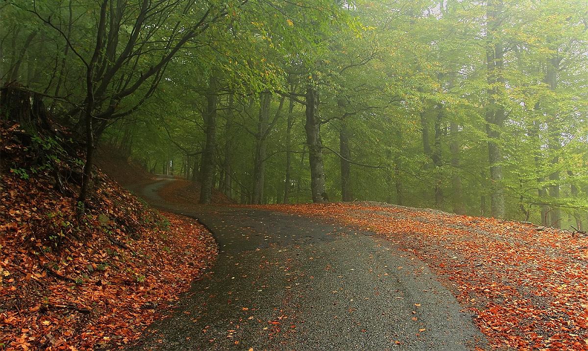 RT <a href="/VasyaElf/">Василиса</a>: Крым, Романовское шоссе