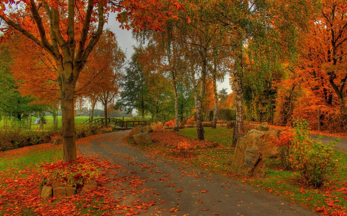 SunKuWriter's tweet photo. #SunKuWriter #Portugal
 Web http://t.co/hI97yW7o3n     
 Free Books Áudio/PDF 85 Languages ►http://t.co/FCRiUk0nbs ◄ http://t.co/nnjuR04TId