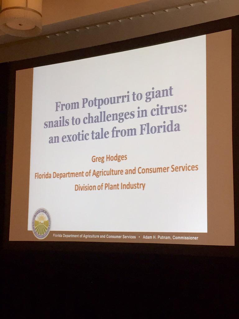 turfpathology's tweet image. Like to study #invasive pests? Florida just might be your dream state. @freshfromFL @UF_IFAS #ASPCRO
