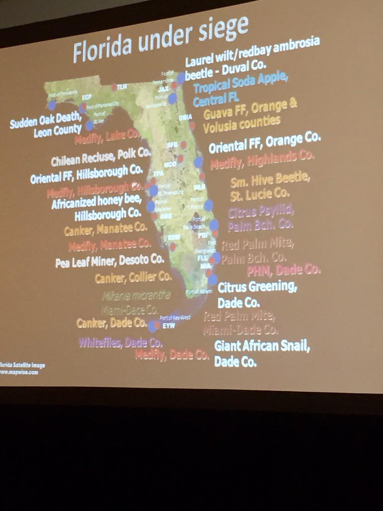 turfpathology's tweet image. Like to study #invasive pests? Florida just might be your dream state. @freshfromFL @UF_IFAS #ASPCRO