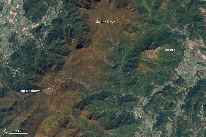 NASA's tweet photo. Happy 99th birthday, @NatlParkService! You look better than ever, especially from space! http://t.co/VObGo7u5og http://t.co/pC1fcRFBBq