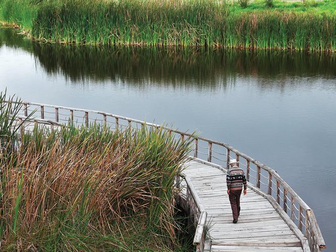 uniquewaymexico's tweet image. #Cuemanco #EspaciosUrbanos #Descúbrelos #ManeraÚnica @EnelDFMx #CDMX @PaseosDF @SECTUR_mx @En_Xochimilco