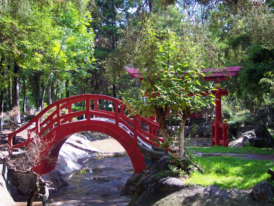 uniquewaymexico's tweet image. #LaPadoga #EspaciosUrbanos #Descúbrelos #ManeraÚnica @EnelDFMx #CDMX @PaseosDF @SECTUR_mx @En_Coyoacan @GuiaCoyoacan