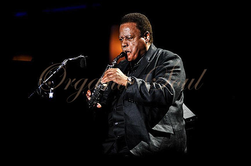 Happy Birthday from Organic Soul Jazz saxophonist and composer, Wayne Shorter is 82 
 