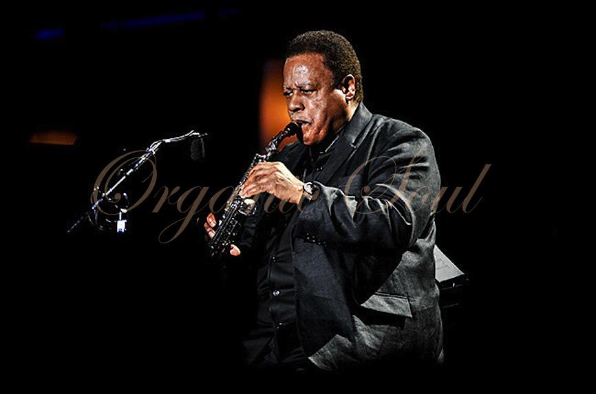 Happy Birthday from Organic Soul Jazz saxophonist and composer, Wayne Shorter is 82 
 