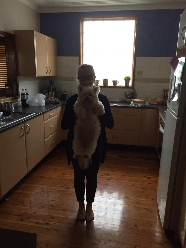 ItsChloeJane's tweet photo. When ur dog (which should b 4kg) passes 8kg and is now half your size. Jabba the gut here 😬😬😬 http://t.co/gvePLb1xbQ