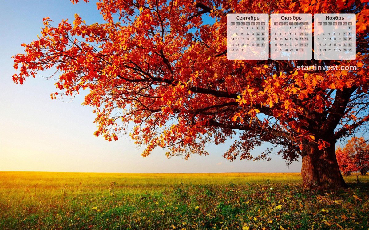 ФК Старт-Инвест tweet media