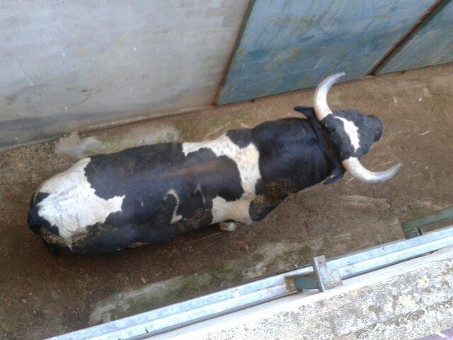 Óscar Mota (@oscarmotam) on Twitter photo 