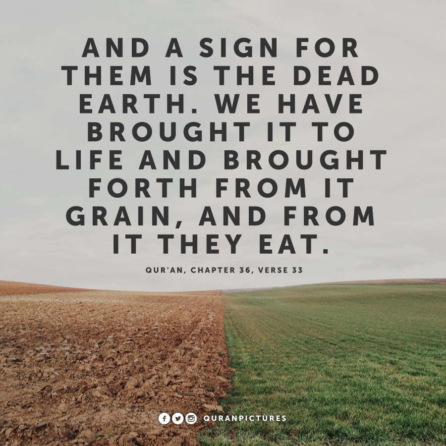 Surah Yaseen, Verse 33