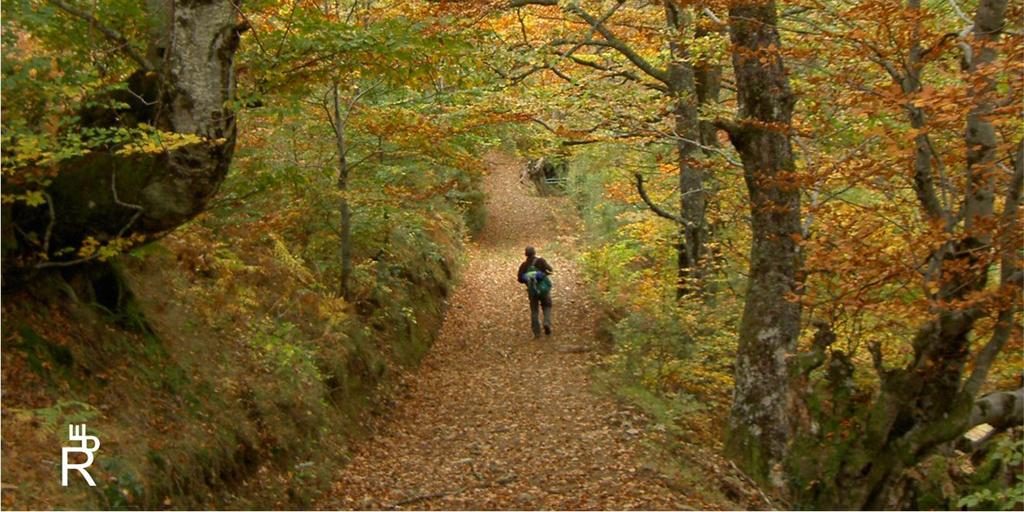 ¿Estás planeando hacer senderismo en #Redes? Estas rutas cortas bit.ly/RutasRedes te dejarán con ganas de más ;)