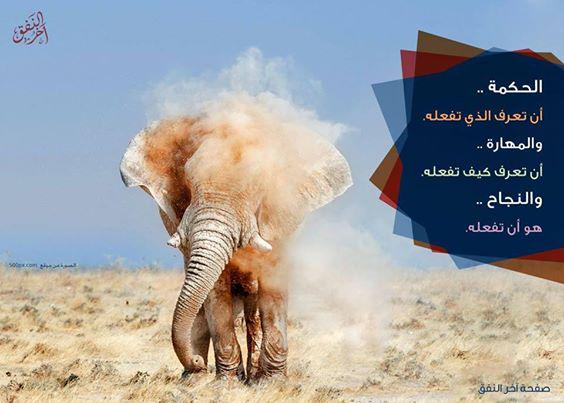 الحكمة ..
أن تعرف الذي تفعله.
والمهارة ..
أن تعرف كيف تفعله.
والنجاح ..
هو أن تفعله.

د. إبراهيم الفقي .